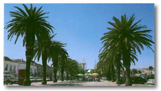 Jardim